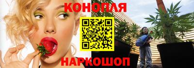 ALPHA PVP Малгобек