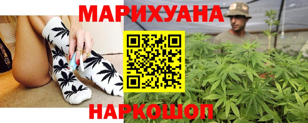 Шишки марихуана тримм  Вход с VPN  Советский  Каннабис THC 21%  Бошки Шишки Bruce Banner 